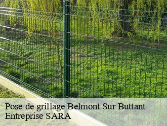 Pose de grillage  belmont-sur-buttant-88600 Entreprise SARA