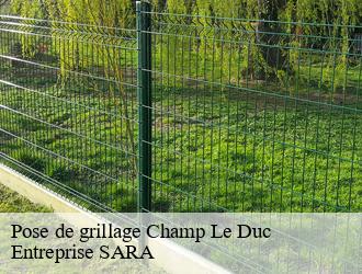 Pose de grillage  champ-le-duc-88600 Entreprise SARA