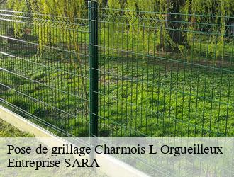 Pose de grillage  charmois-l-orgueilleux-88270 Entreprise SARA