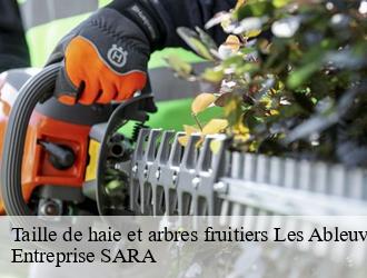 Taille de haie et arbres fruitiers  les-ableuvenettes-88270 Entreprise SARA