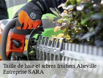 Taille de haie et arbres fruitiers  aheville-88500 Entreprise SARA