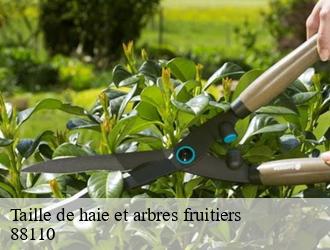 Taille de haie et arbres fruitiers  88110