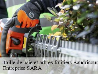 Taille de haie et arbres fruitiers  baudricourt-88500 Entreprise SARA