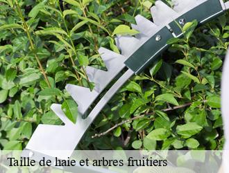 Taille de haie et arbres fruitiers