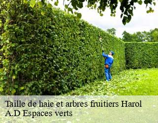 Taille de haie et arbres fruitiers  harol-88270 A.D Espaces verts