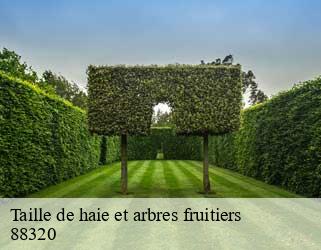 Taille de haie et arbres fruitiers  88320