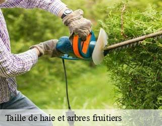 Taille de haie et arbres fruitiers