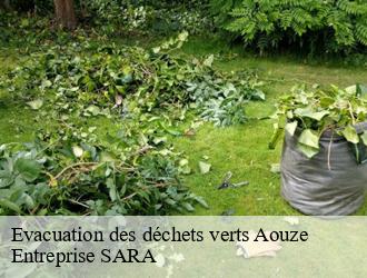 Evacuation des déchets verts  aouze-88170 Entreprise SARA