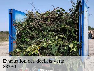 Evacuation des déchets verts  88380