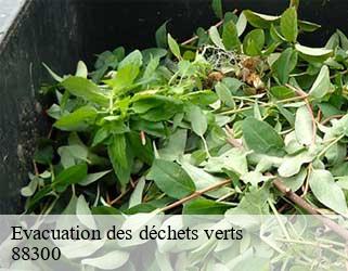 Evacuation des déchets verts  88300