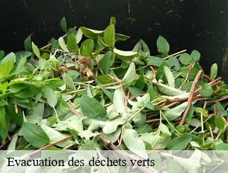 Evacuation des déchets verts