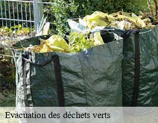 Evacuation des déchets verts