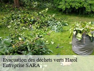 Evacuation des déchets verts  harol-88270 Entreprise SARA