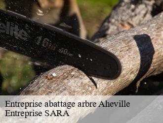 Entreprise abattage arbre  aheville-88500 Entreprise SARA