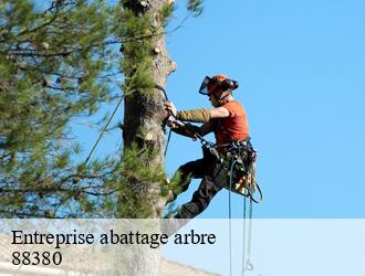 Entreprise abattage arbre  88380