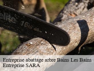 Entreprise abattage arbre  bains-les-bains-88240 Entreprise SARA