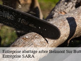 Entreprise abattage arbre  belmont-sur-buttant-88600 Entreprise SARA