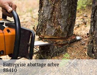 Entreprise abattage arbre  88410