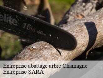 Entreprise abattage arbre  chamagne-88130 Entreprise SARA