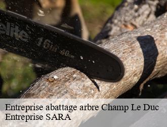 Entreprise abattage arbre  champ-le-duc-88600 Entreprise SARA