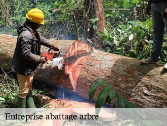 Entreprise abattage arbre