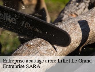 Entreprise abattage arbre  liffol-le-grand-88350 Entreprise SARA