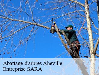 Abattage d'arbres  aheville-88500 Entreprise SARA