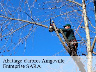 Abattage d'arbres  aingeville-88140 Entreprise SARA