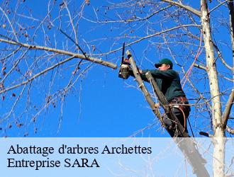 Abattage d'arbres  archettes-88380 Entreprise SARA