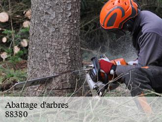 Abattage d'arbres  88380