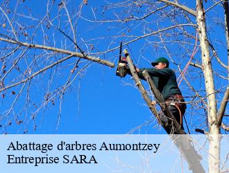 Abattage d'arbres  aumontzey-88640 Entreprise SARA