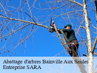 Abattage d'arbres  bainville-aux-saules-88270 Entreprise SARA