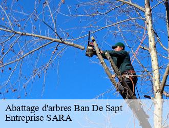 Abattage d'arbres  ban-de-sapt-88210 Entreprise SARA