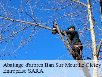 Abattage d'arbres  ban-sur-meurthe-clefcy-88230 Entreprise SARA