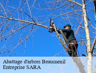 Abattage d'arbres  beaumenil-88600 Entreprise SARA