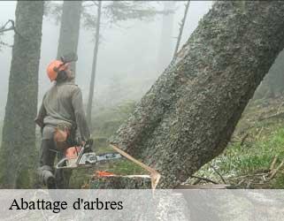 Abattage d'arbres