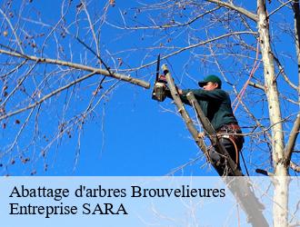 Abattage d'arbres  brouvelieures-88600 Entreprise SARA