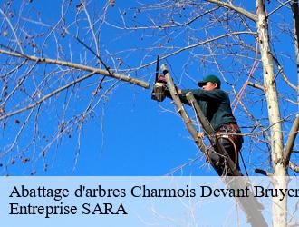 Abattage d'arbres  charmois-devant-bruyeres-88460 Entreprise SARA