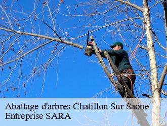 Abattage d'arbres  chatillon-sur-saone-88410 Entreprise SARA