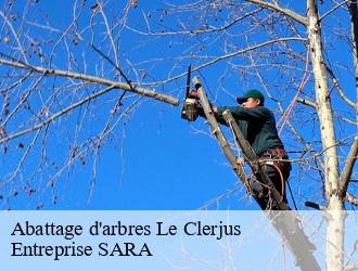 Abattage d'arbres  le-clerjus-88240 Entreprise SARA