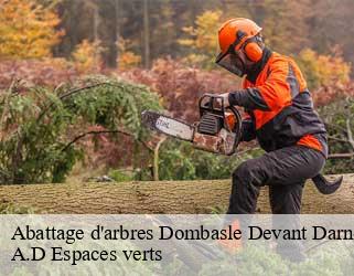 Abattage d'arbres  dombasle-devant-darney-88260 A.D Espaces verts