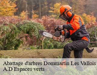 Abattage d'arbres  dommartin-les-vallois-88260 A.D Espaces verts