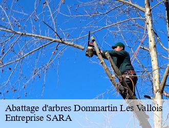 Abattage d'arbres  dommartin-les-vallois-88260 Entreprise SARA