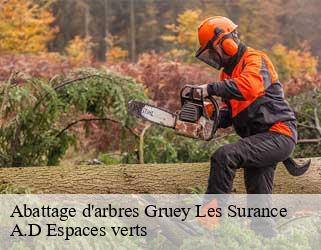 Abattage d'arbres  gruey-les-surance-88240 A.D Espaces verts