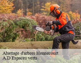 Abattage d'arbres  hennecourt-88270 A.D Espaces verts