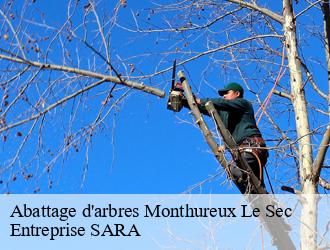 Abattage d'arbres  monthureux-le-sec-88800 Entreprise SARA