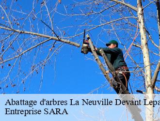 Abattage d'arbres  la-neuville-devant-lepanc-88600 Entreprise SARA