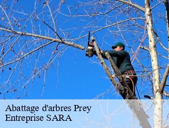 Abattage d'arbres  prey-88600 Entreprise SARA