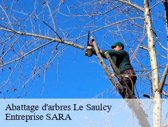 Abattage d'arbres  le-saulcy-88210 Entreprise SARA