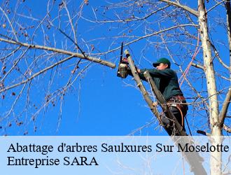 Abattage d'arbres  saulxures-sur-moselotte-88290 Entreprise SARA